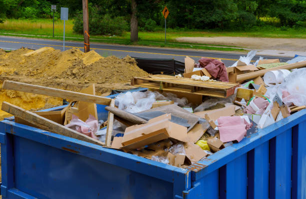 Best Recycling Services for Junk  in Vley, AL